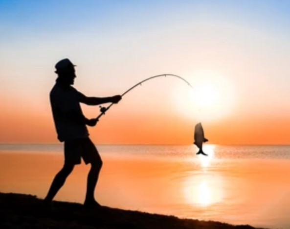 Wutköder Blank Meme Template