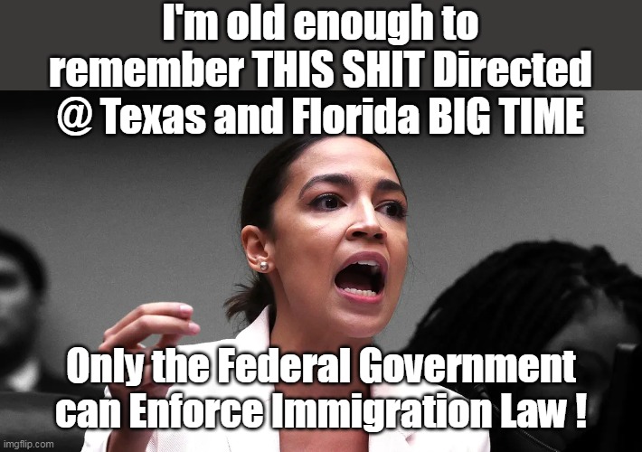 Wonder what happened since 2024 ? | I'm old enough to remember THIS SHIT Directed @ Texas and Florida BIG TIME; Only the Federal Government can Enforce Immigration Law ! | image tagged in aoc fed enforce immigration meme | made w/ Imgflip meme maker