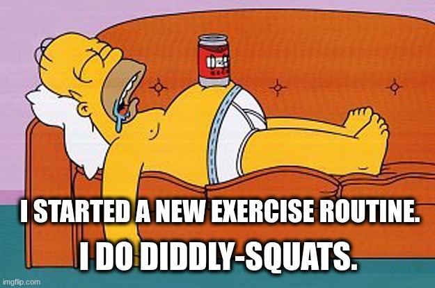 Diddly-Squats | I STARTED A NEW EXERCISE ROUTINE. I DO DIDDLY-SQUATS. | image tagged in homer lazy | made w/ Imgflip meme maker