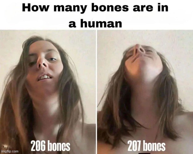 Human Bones | image tagged in sex jokes | made w/ Imgflip meme maker
