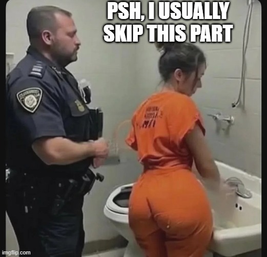 Skip Ahead | PSH, I USUALLY SKIP THIS PART | image tagged in sex jokes | made w/ Imgflip meme maker