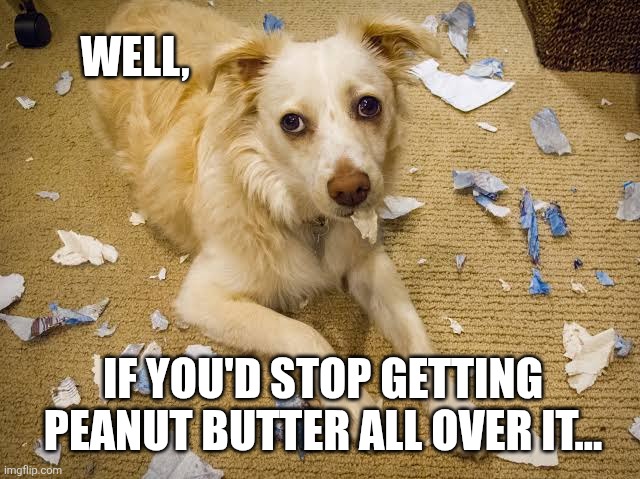 WELL, IF YOU'D STOP GETTING PEANUT BUTTER ALL OVER IT... | made w/ Imgflip meme maker