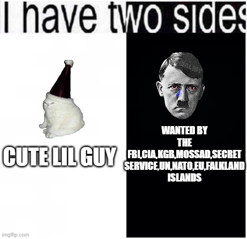 sides i two have | WANTED BY THE FBI,CIA,KGB,MOSSAD,SECRET SERVICE,UN,NATO,EU,FALKLAND ISLANDS; CUTE LIL GUY | image tagged in i have two sides | made w/ Imgflip meme maker