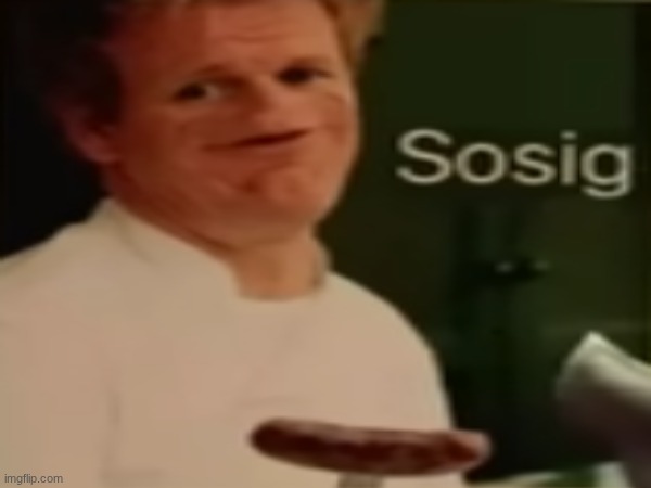 sosig | image tagged in memes,spelling | made w/ Imgflip meme maker