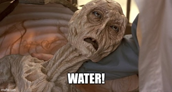 Dying alien | WATER! | image tagged in dying alien | made w/ Imgflip meme maker