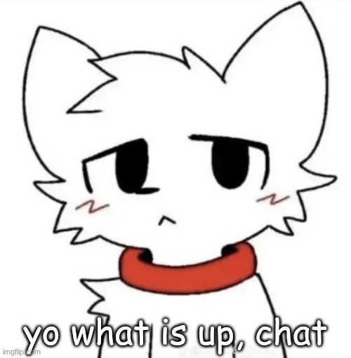 gangster shit | yo what is up, chat | image tagged in gangster shit | made w/ Imgflip meme maker