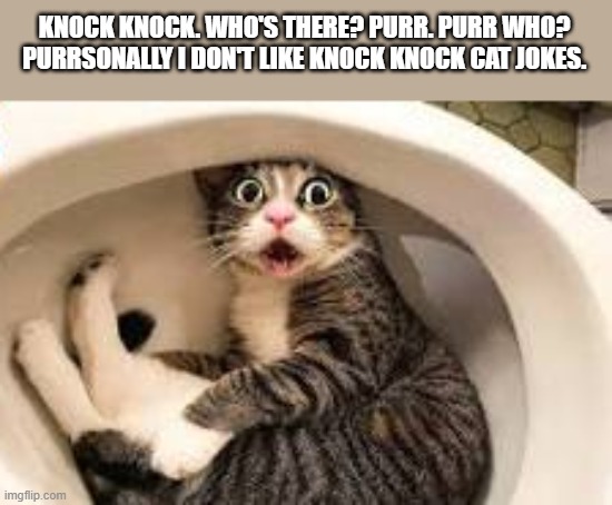 So you want a "knock knock cat joke"? Here's one. | KNOCK KNOCK. WHO'S THERE? PURR. PURR WHO? PURRSONALLY I DON'T LIKE KNOCK KNOCK CAT JOKES. | image tagged in funny,humor,cat,kittens,knock knock,play on words | made w/ Imgflip meme maker