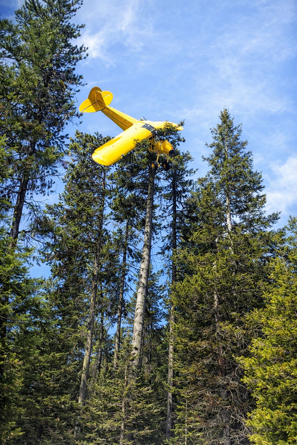 Missed it by that much! Blank Meme Template