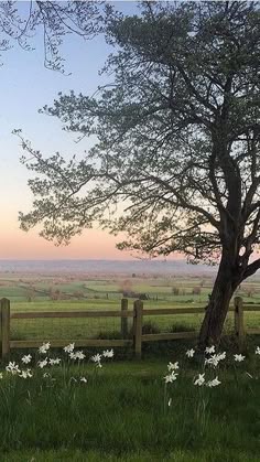 Nature aesthetic Blank Meme Template