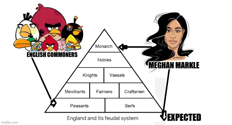 Meghan Markle Class System | ENGLISH COMMONERS; MEGHAN MARKLE; EXPECTED | image tagged in meghan markle,royal family,racism,prince harry,england | made w/ Imgflip meme maker