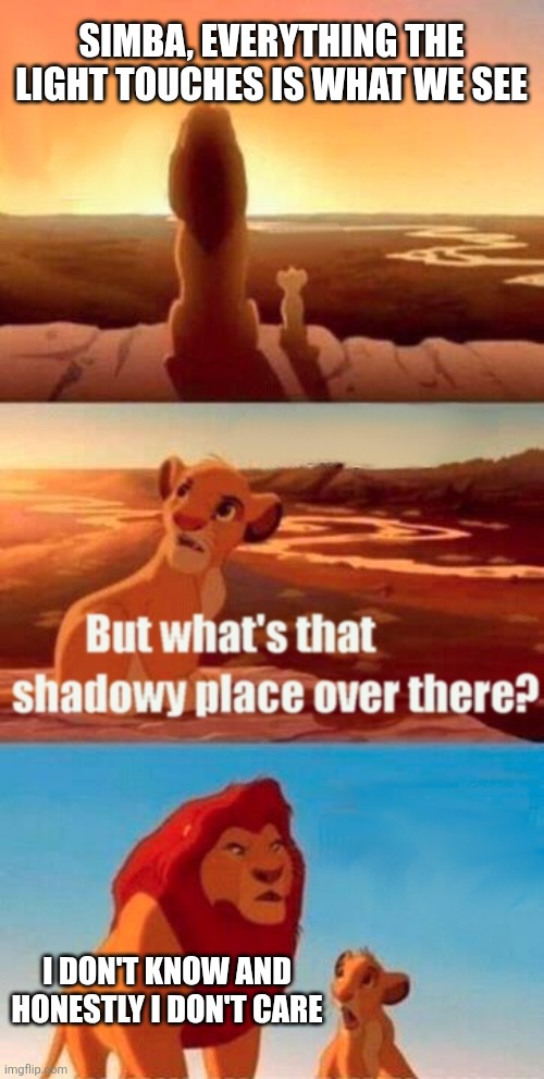 Simba Shadowy Place Meme | SIMBA, EVERYTHING THE LIGHT TOUCHES IS WHAT WE SEE; I DON'T KNOW AND HONESTLY I DON'T CARE | image tagged in memes,simba shadowy place | made w/ Imgflip meme maker
