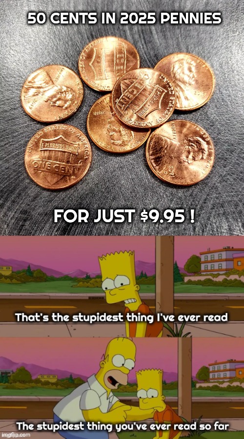 My faith in Humanity is gone | 50 CENTS IN 2025 PENNIES; FOR JUST $9.95 ! | image tagged in stupider and stupider,hording,get rich quick,well yes but actually no,stupid is as stupid does,no more pennies | made w/ Imgflip meme maker