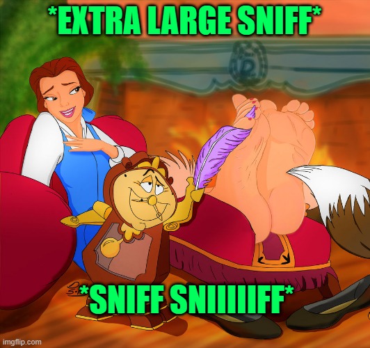 Belle feet | *EXTRA LARGE SNIFF*; *SNIFF SNIIIIIFF* | image tagged in belle feet | made w/ Imgflip meme maker