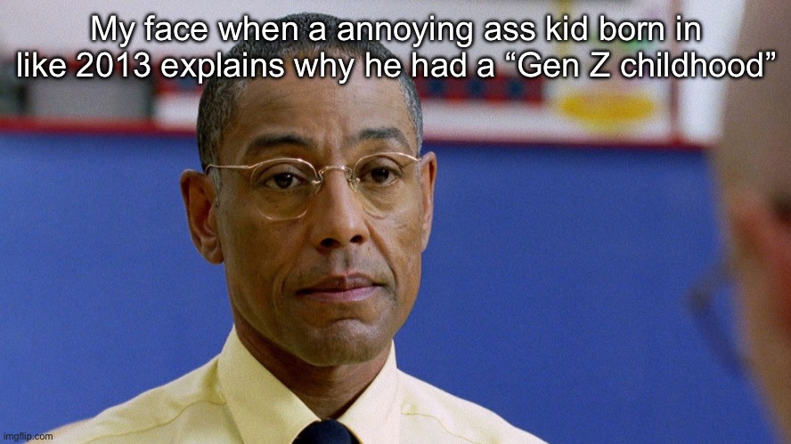 Fring Don't Care | My face when a annoying ass kid born in like 2013 explains why he had a “Gen Z childhood” | image tagged in fring don't care | made w/ Imgflip meme maker