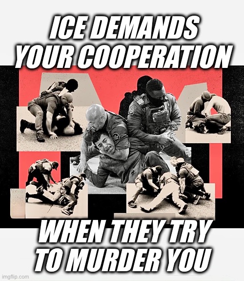 ICE DEMANDS YOUR COOPERATION; WHEN THEY TRY TO MURDER YOU | image tagged in memes,ice,murder,attempted murder,big government,democide | made w/ Imgflip meme maker