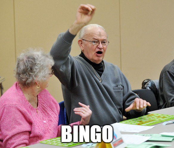 BINGO | image tagged in bingo | made w/ Imgflip meme maker