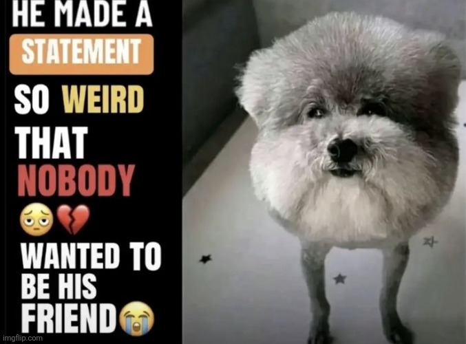 he made a statement so weird | image tagged in he made a statement so weird | made w/ Imgflip meme maker