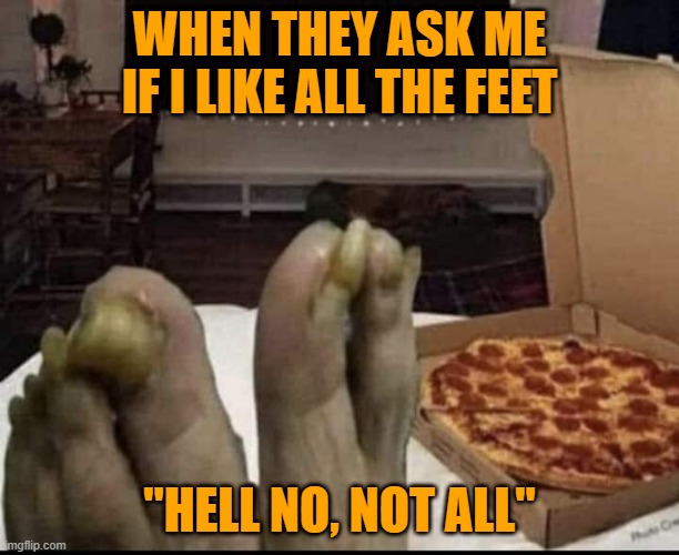 Netfllix and chill | WHEN THEY ASK ME IF I LIKE ALL THE FEET; "HELL NO, NOT ALL" | image tagged in netfllix and chill | made w/ Imgflip meme maker
