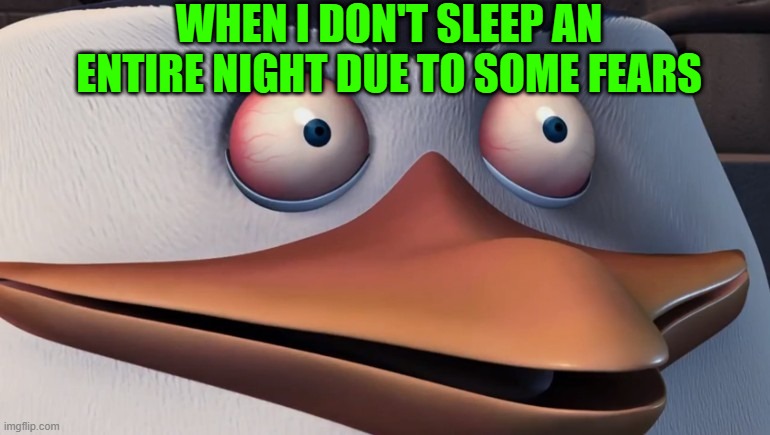 Penguins of madagascar skipper red eyes | WHEN I DON'T SLEEP AN ENTIRE NIGHT DUE TO SOME FEARS | image tagged in penguins of madagascar skipper red eyes | made w/ Imgflip meme maker