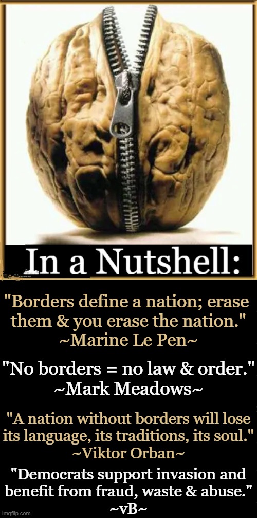 Democrats strive to retain power at any cost while destroying America.  :( | "Borders define a nation; erase 
them & you erase the nation."
~Marine Le Pen~; "No borders = no law & order."
~Mark Meadows~; "A nation without borders will lose
its language, its traditions, its soul."
~Viktor Orban~; "Democrats support invasion and
benefit from fraud, waste & abuse."
~vB~ | image tagged in in a nutshell,liberalism is a mental disorder,leftists,democrats,open borders,destruction of america | made w/ Imgflip meme maker