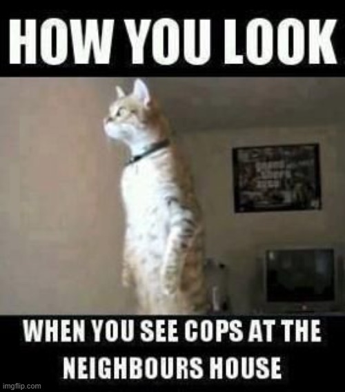 Peek Out | image tagged in repost | made w/ Imgflip meme maker