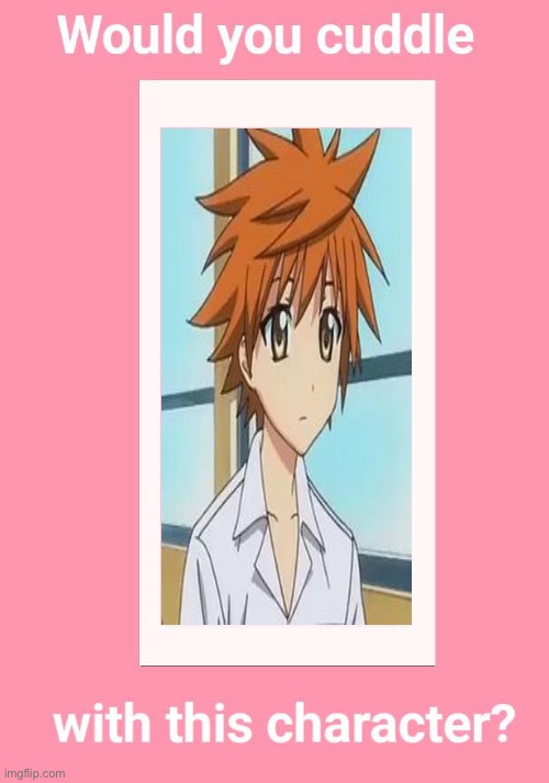 Would you cuddle with Rito Yuuki? (To Love Ru) | image tagged in i'm gay | made w/ Imgflip meme maker