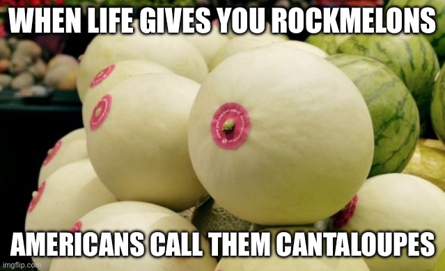 Melons | WHEN LIFE GIVES YOU ROCKMELONS; AMERICANS CALL THEM CANTALOUPES | image tagged in melon dyslexia,cantaloupe | made w/ Imgflip meme maker