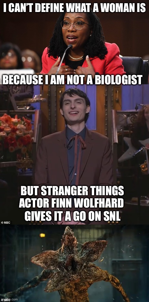 It seems SNL is losing its grip on being politically correct. | I CAN’T DEFINE WHAT A WOMAN IS; BECAUSE I AM NOT A BIOLOGIST; BUT STRANGER THINGS ACTOR FINN WOLFHARD; GIVES IT A GO ON SNL | image tagged in ketanji brown jackson,wolf finhard,define,woman,snl | made w/ Imgflip meme maker