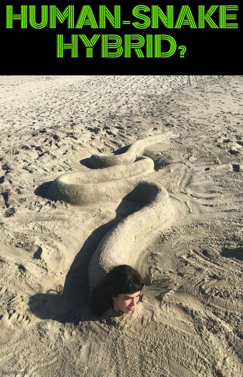 Human-snake Hybrid | HUMAN-SNAKE HYBRID? | image tagged in cursed images,hybrid,what a terrible day to have eyes,excuse me wtf,snake,human | made w/ Imgflip meme maker
