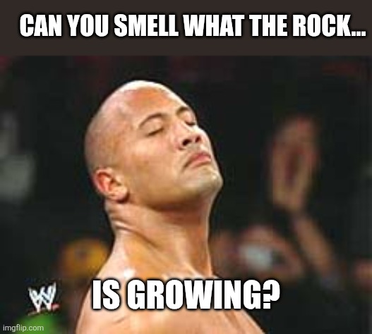 The Rock Smelling | CAN YOU SMELL WHAT THE ROCK... IS GROWING? | image tagged in the rock smelling | made w/ Imgflip meme maker