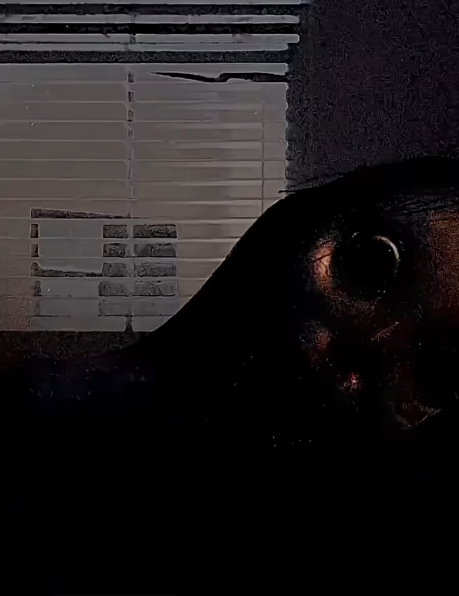 SCP-S-017 Blank Meme Template