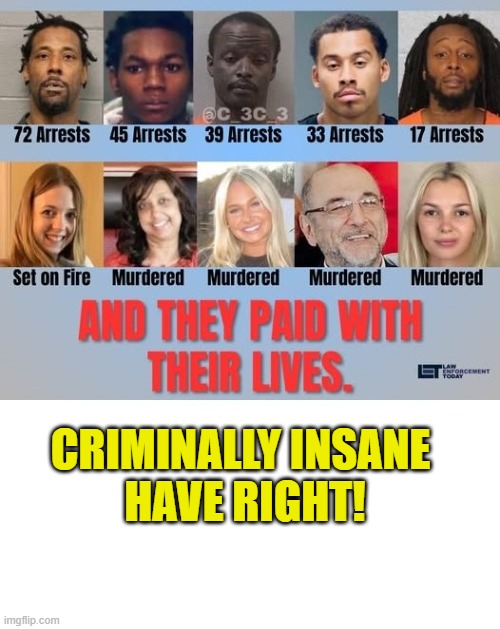 More Leftist Logic | CRIMINALLY INSANE 
HAVE RIGHT! | image tagged in leftists | made w/ Imgflip meme maker