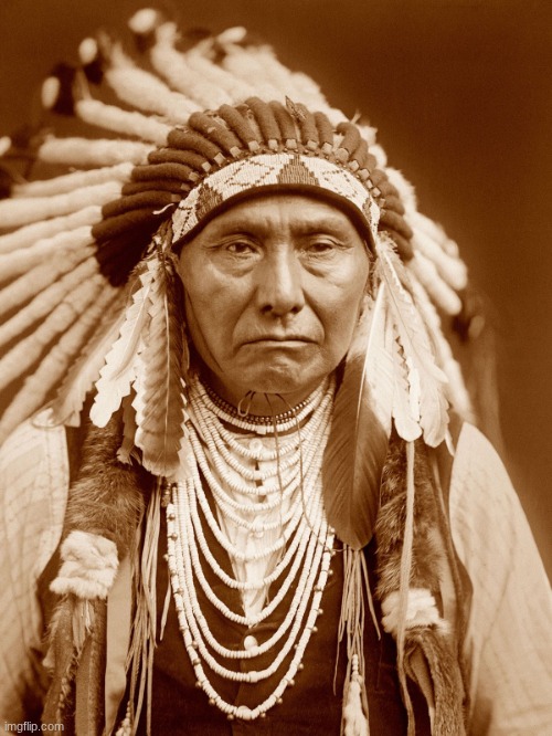 Native Americans Day | image tagged in native americans day | made w/ Imgflip meme maker