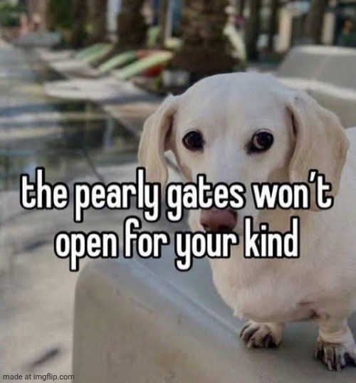 The pearly gates won't accept your kind | image tagged in the pearly gates won't accept your kind | made w/ Imgflip meme maker