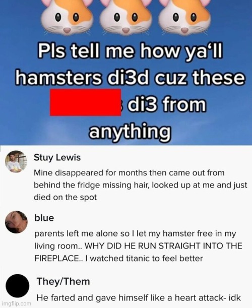 image tagged in comments,cursed,hamster,so true,dying,pets | made w/ Imgflip meme maker