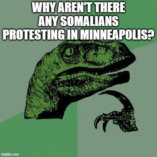 Curious raptor | WHY AREN'T THERE ANY SOMALIANS PROTESTING IN MINNEAPOLIS? | image tagged in curious raptor | made w/ Imgflip meme maker