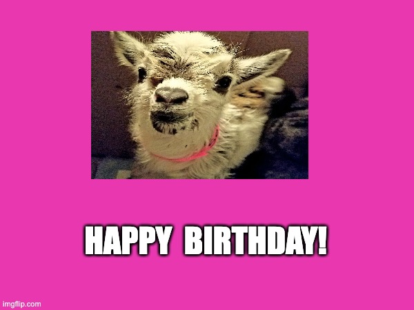 Happy Birthday | HAPPY  BIRTHDAY! | image tagged in happy birthday,goat,goat memes | made w/ Imgflip meme maker