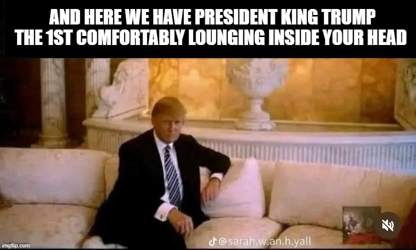triggering libtards | AND HERE WE HAVE PRESIDENT KING TRUMP THE 1ST COMFORTABLY LOUNGING INSIDE YOUR HEAD | made w/ Imgflip meme maker