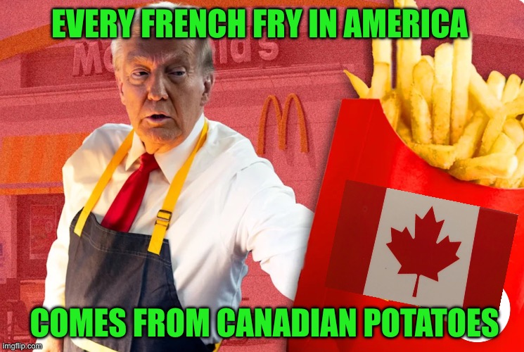Server king trump | EVERY FRENCH FRY IN AMERICA; COMES FROM CANADIAN POTATOES | image tagged in donald trump approves | made w/ Imgflip meme maker