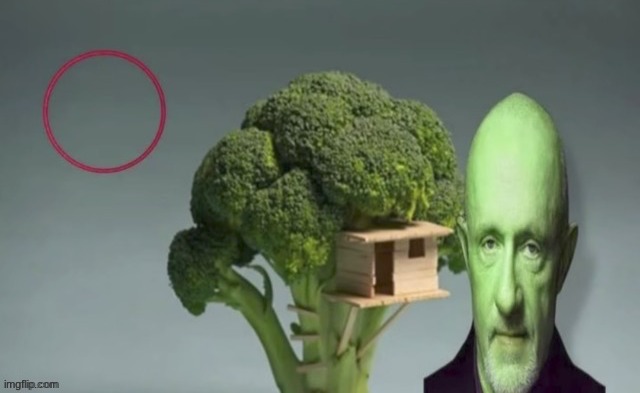 the rot consumes | image tagged in the rot consumes | made w/ Imgflip meme maker