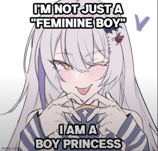 Are you a princess? | image tagged in femboy,princess,cute | made w/ Imgflip meme maker