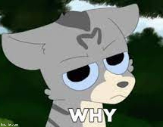 Jayfeather | image tagged in jayfeather | made w/ Imgflip meme maker