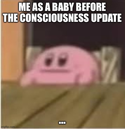 Consciousness update | ME AS A BABY BEFORE THE CONSCIOUSNESS UPDATE; … | image tagged in kirby | made w/ Imgflip meme maker