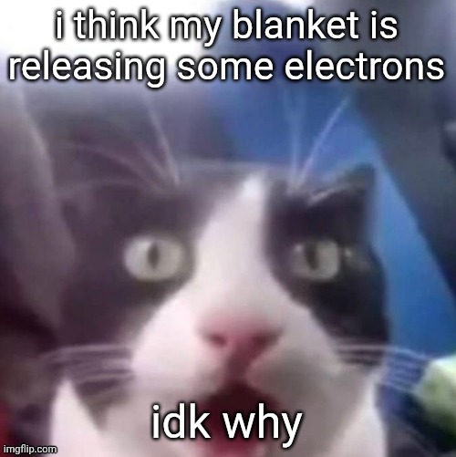 cat shocked | i think my blanket is releasing some electrons; idk why | image tagged in cat shocked | made w/ Imgflip meme maker