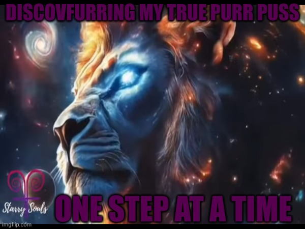 Duty Calls (Feed The Cat Woman's Kitty Kat) | DISCOVFURRING MY TRUE PURR PUSS; ONE STEP AT A TIME | image tagged in barney will eat all of your delectable biscuits,smiling cat,still a better love story than twilight,the lion king | made w/ Imgflip meme maker