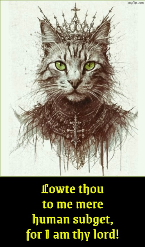 Lowte Thou To Me | Lowte thou to me mere human subget, for I am thy lord! | image tagged in cats,funny cats,superior royalty,peasant,medieval memes,evil overlord rules | made w/ Imgflip meme maker