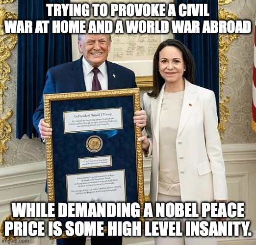 The medal would be made of iron(y). | TRYING TO PROVOKE A CIVIL WAR AT HOME AND A WORLD WAR ABROAD; WHILE DEMANDING A NOBEL PEACE PRICE IS SOME HIGH LEVEL INSANITY. | image tagged in trump gifted nobel peace prize,donald trump,nobel prize,civil war,dementia | made w/ Imgflip meme maker