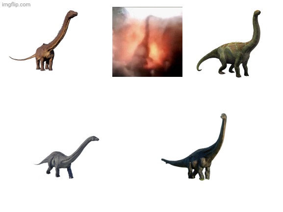 Blank White Template | image tagged in blank white template | made w/ Imgflip meme maker