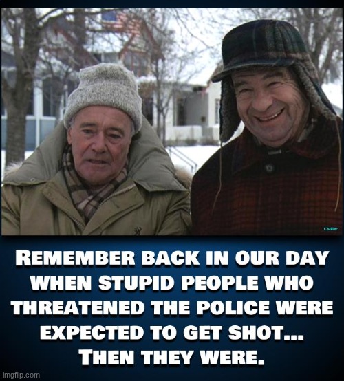 That's back when there used to be this thing called, "common sense". | image tagged in politics,political,democratss,domestic terrorists,republicans | made w/ Imgflip meme maker