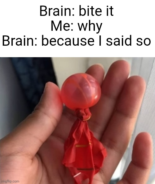 Childhood core?? | Brain: bite it
Me: why
Brain: because I said so | image tagged in balloon,relatable,water balloon,bite,memes,childhood | made w/ Imgflip meme maker